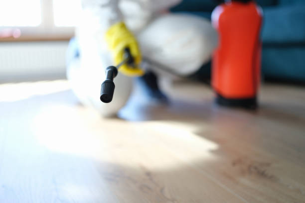 Best Post-Remediation Verification Testing  in Southgate, MI